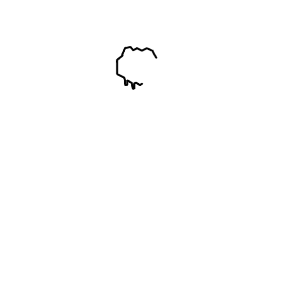 grocery store outline